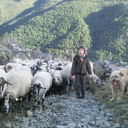 Allotjament Taga Ribes De Freser Exteriör bild