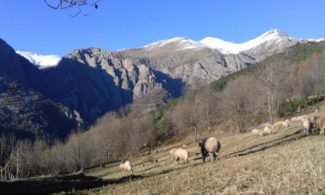 Allotjament Taga Ribes De Freser Exteriör bild